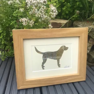 Labrador