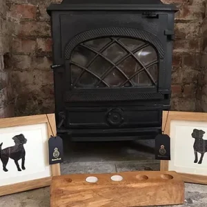 Patterdale Terrier