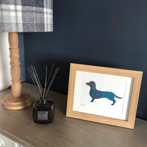 Dachshund