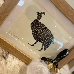 Guinea Fowl