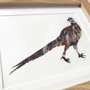 Pheasant