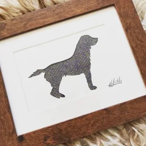 Spaniel