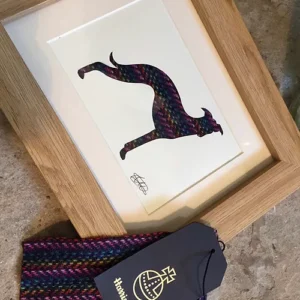 Whippet