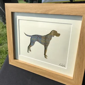 English Pointer